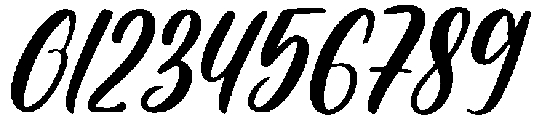 Beauty Flower otf (400) Font OTHER CHARS