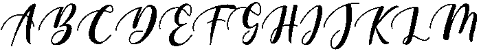 Beauty Regular otf (400) Font UPPERCASE