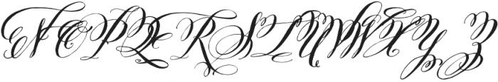 Belluccia Stylistic Bold otf (700) Font UPPERCASE