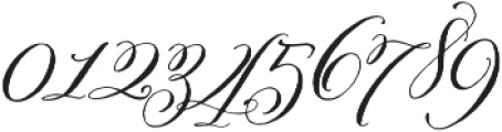 Belluccia Stylistic Regular otf (400) Font OTHER CHARS