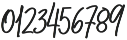 Belmont Bold Italic otf (700) Font OTHER CHARS