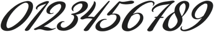 Berdy Danilla Italic otf (400) Font OTHER CHARS