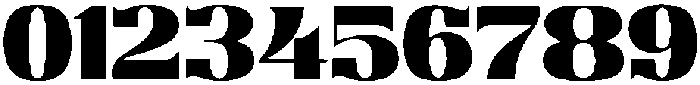 Berina Regular otf (400) Font OTHER CHARS