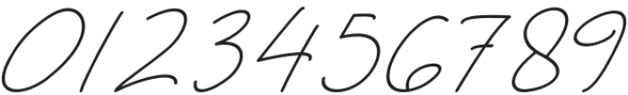 Berlin Signature Regular otf (400) Font OTHER CHARS