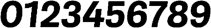 Berna Bold Italic otf (700) Font OTHER CHARS