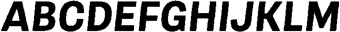 Berna Bold Italic otf (700) Font UPPERCASE