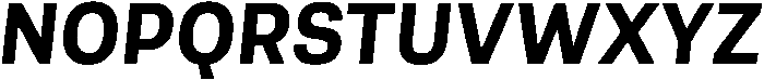 Berna Bold Italic otf (700) Font UPPERCASE