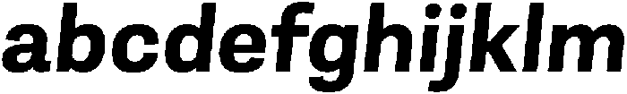 Berna Bold Italic otf (700) FONT