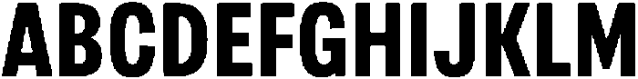 Berna Condensed Bold otf (700) Font UPPERCASE