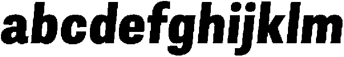 Berna Condensed ExtraBold Italic otf (700) FONT