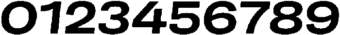 Berna Expanded Bold Italic otf (700) Font OTHER CHARS