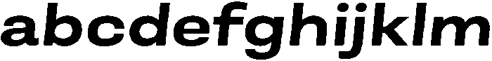 Berna Expanded Bold Italic otf (700) FONT