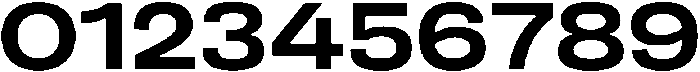 Berna Expanded Bold otf (700) Font OTHER CHARS