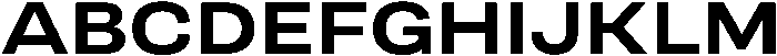 Berna Expanded Bold otf (700) Font UPPERCASE