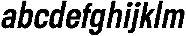 Berneo Medium Italic otf (500) FONT