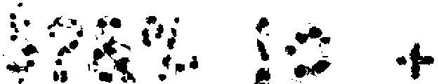Berry Ice Cubes Regular otf (400) Font OTHER CHARS