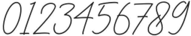 BesthinySignature otf (100) Font OTHER CHARS