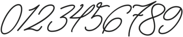 Betriciya Signature Regular otf (400) Font OTHER CHARS