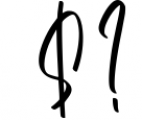 Beautiful Blossoms - Handwritten Script Font OTHER CHARS