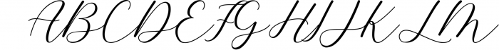 Beauty Script Font Bundle - Best Seller Font Collection 8 Font UPPERCASE