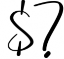Beautype - Simple Script Font Font OTHER CHARS