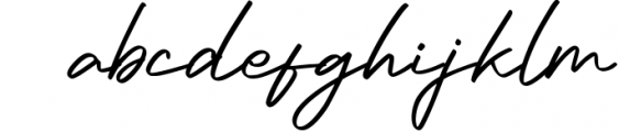 Bedger - Stylish Script Font 1 Font LOWERCASE