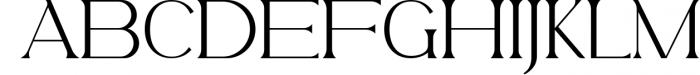 Belfina Husairy - Classic Serif Font Font UPPERCASE