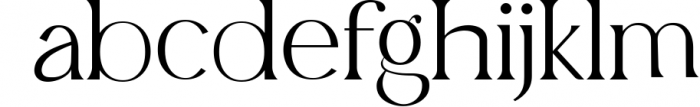 Belfina Husairy - Classic Serif Font Font LOWERCASE