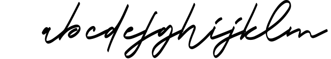 Belgiante Signature Font 1 Font LOWERCASE