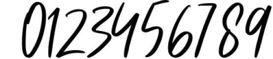 Bellevue // A Traveler Script Font Font OTHER CHARS
