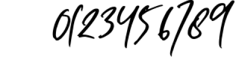 Bellisha Smith - Signature Script Font 1 Font OTHER CHARS