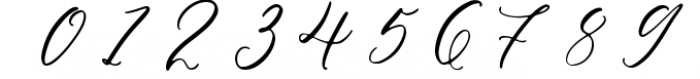 Bergamotte - Fine Art Calligraphy Font OTHER CHARS