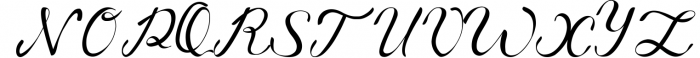 Berlyna - Modern Script Font Font UPPERCASE