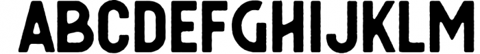 Berringer - Vintage Type Family 2 Font LOWERCASE