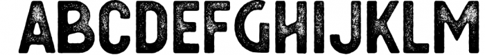 Berringer - Vintage Type Family 5 Font UPPERCASE