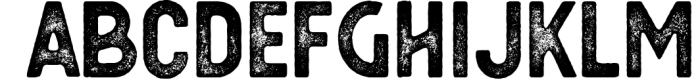 Berringer - Vintage Type Family 5 Font LOWERCASE