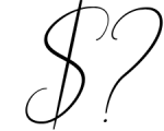 Bettrish // Stylish Signature Font 1 Font OTHER CHARS