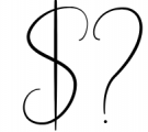 Bettrish // Stylish Signature Font Font OTHER CHARS