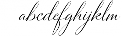Bettrisia Script - Elegant Calligraphy Font 1 Font LOWERCASE
