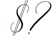 Bettrisia Script - Elegant Calligraphy Font 2 Font OTHER CHARS