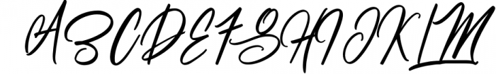 Beverley 4 Font Family Extra Bonus 40 doodle ornaments Font UPPERCASE