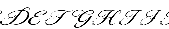 Beautiful Danila Italic Demo Italic Font UPPERCASE