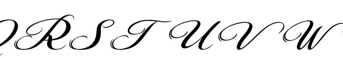 Beautiful Danila Italic Demo Italic Font UPPERCASE