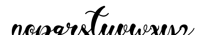 Beautiful Monogram Font LOWERCASE