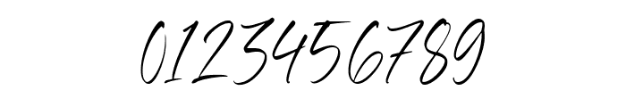 Benyamin Signature Font OTHER CHARS