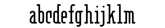 Berlin Email Serif Font LOWERCASE