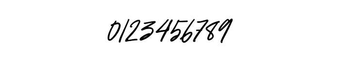 BerlinaSignature Font OTHER CHARS