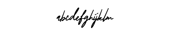 BerlinaSignature FONT