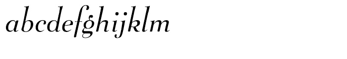 Belucian Book Italic Font LOWERCASE
