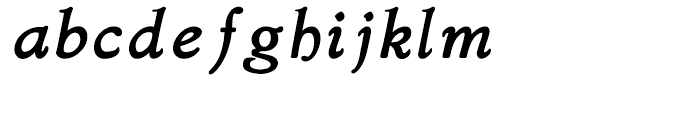 Bergsland Bold Italic Font LOWERCASE